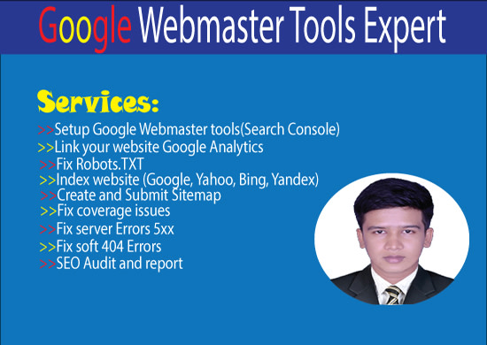 Gig Preview - Setup google webmaster tools and analytics account