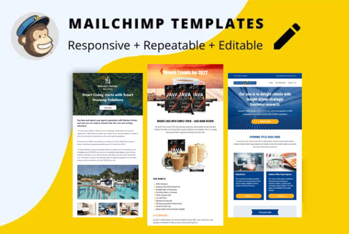 Gig Preview - Make a mailchimp email template