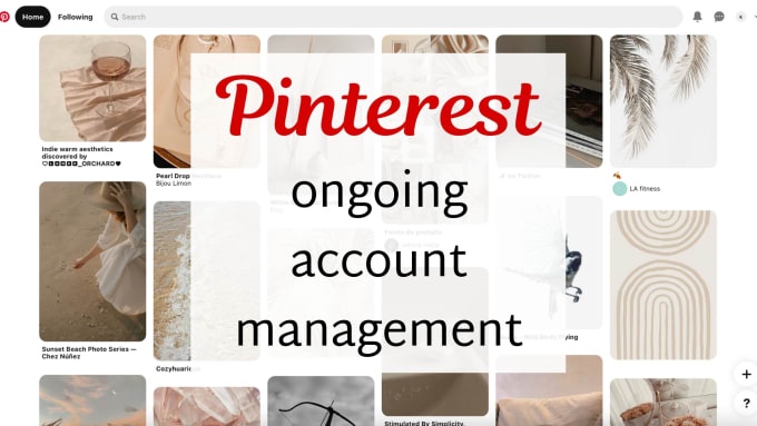 Gig Preview - Manage your pinterest account for 30 days