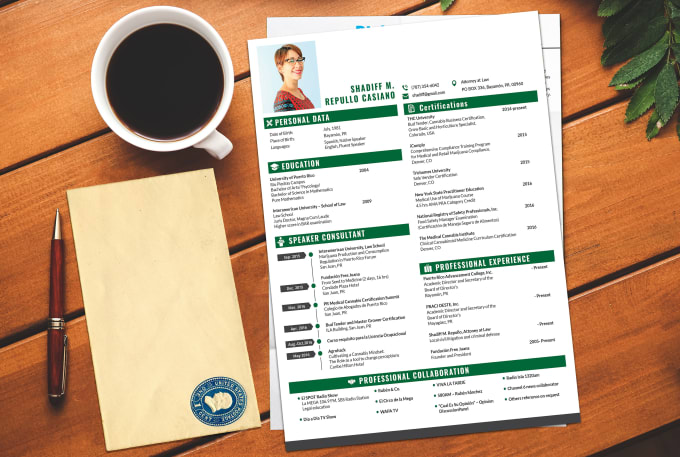 Gig Preview - Design infographic resume, CV and cover letter