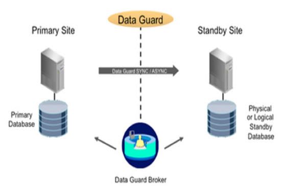 Gig Preview - Upgrade and migrate oracle database