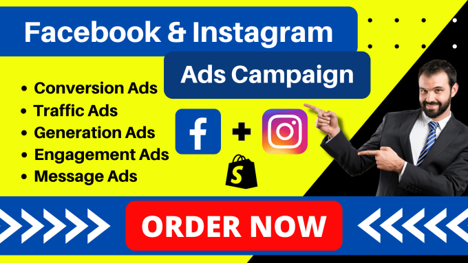 Gig Preview - Be your facebook ads and instagram ads manager