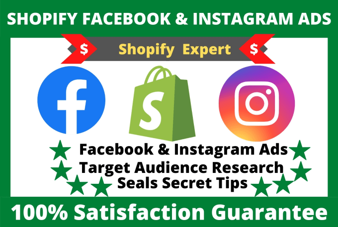 Gig Preview - Manage and setup  shopify facebook ads instagram ads campaign