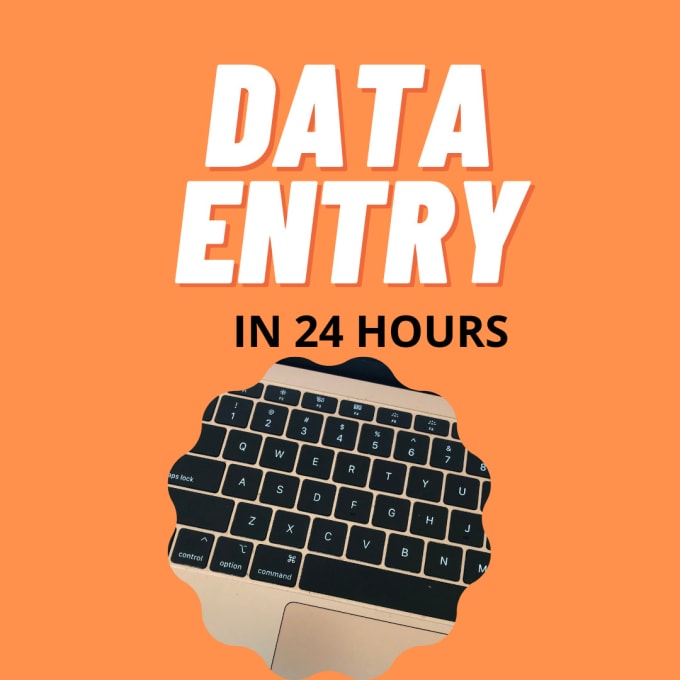 Gig Preview - Perform data entry  in 24 hours