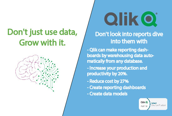 Gig Preview - Create a dashboard in qlik for you