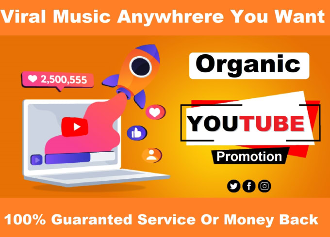 Gig Preview - Organic youtube channel and viral music video promotion to targeted people