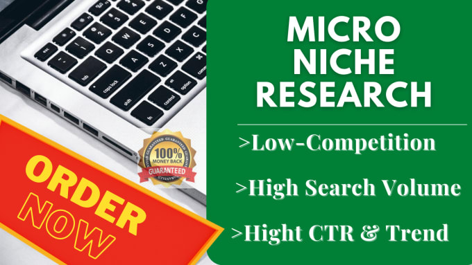 Gig Preview - Do profitable amazon or adsense micro niche and SEO keyword research