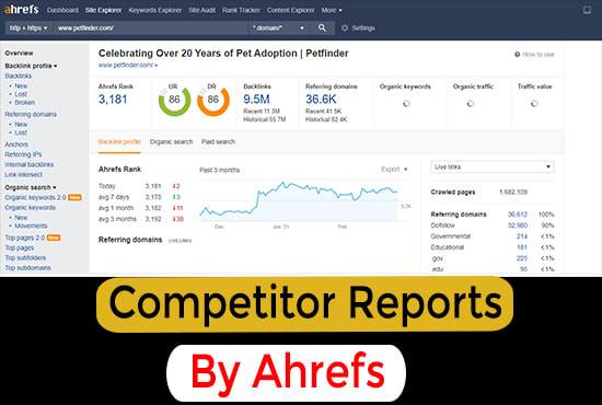 Gig Preview - Provide complete backlinks report of competitors by ahref