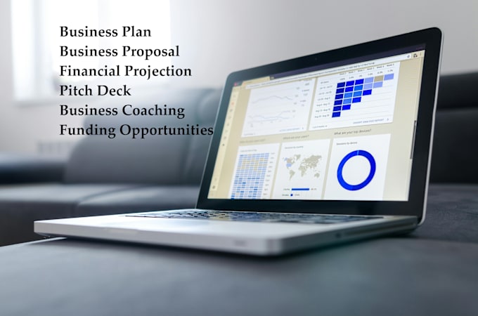 Gig Preview - Write a professional business plan for your startup