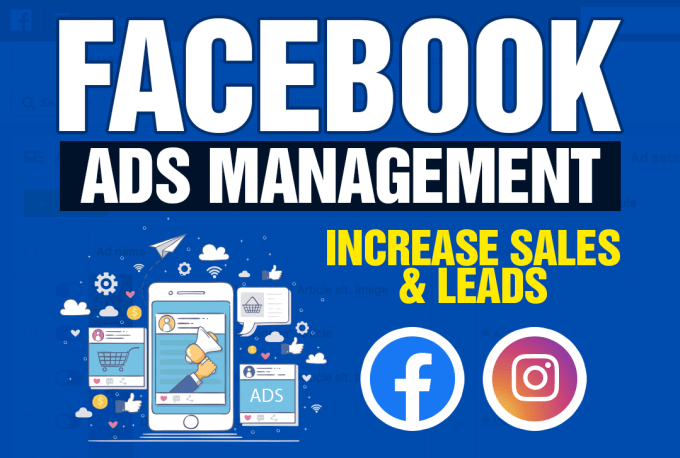 Gig Preview - Manage your facebook ads lets get you more sales and leads