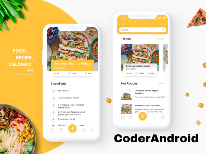 Gig Preview - Create food delivery app