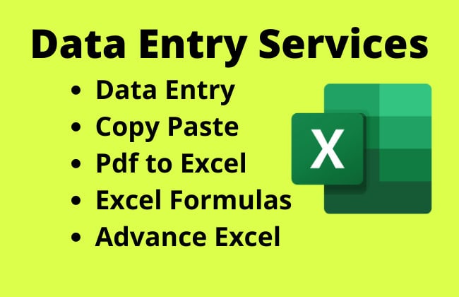 Gig Preview - Do fast data entry, copy paste in excel and google sheets