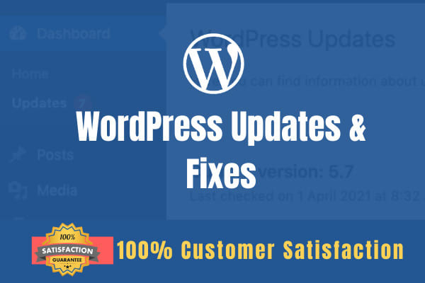 Gig Preview - Safely do wordpress updates and fixes