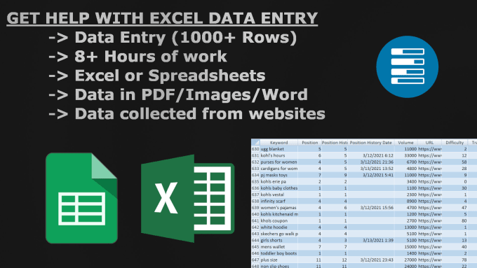 Gig Preview - Help you with excel data entry