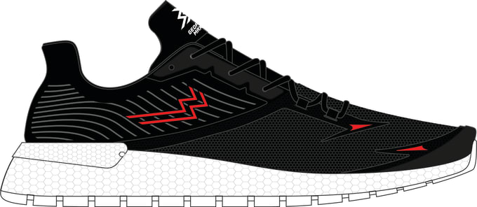 Gig Preview - Make a draw 2d sneaker design for imagine vector art