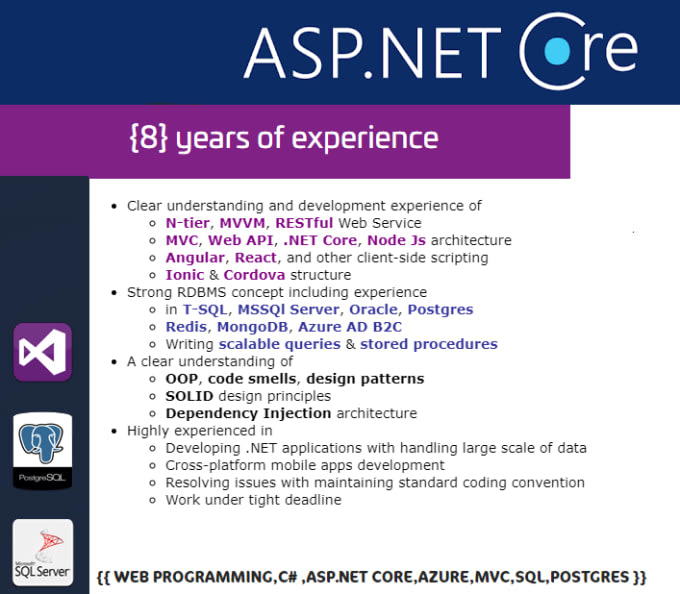 Gig Preview - Develop asp dot net core applications for you