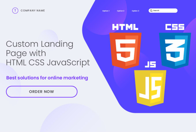 Gig Preview - Create custom saas landing page website  using html css js