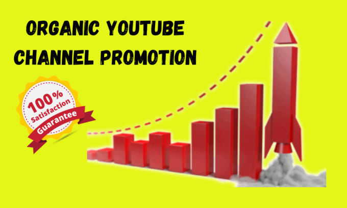 Gig Preview - Do organic promotion of your youtube channel