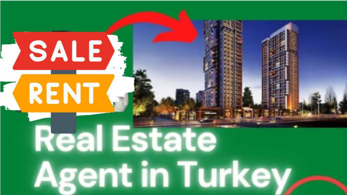 Gig Preview - Be your real estate assistant in turkey