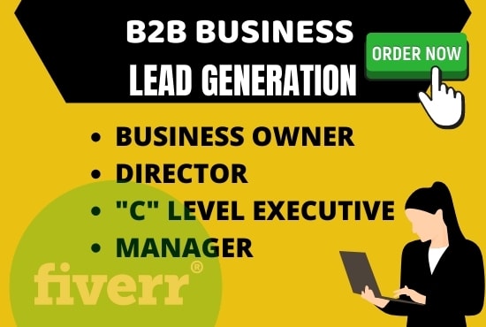 Gig Preview - Do company owner, director, c level linkedin lead generation