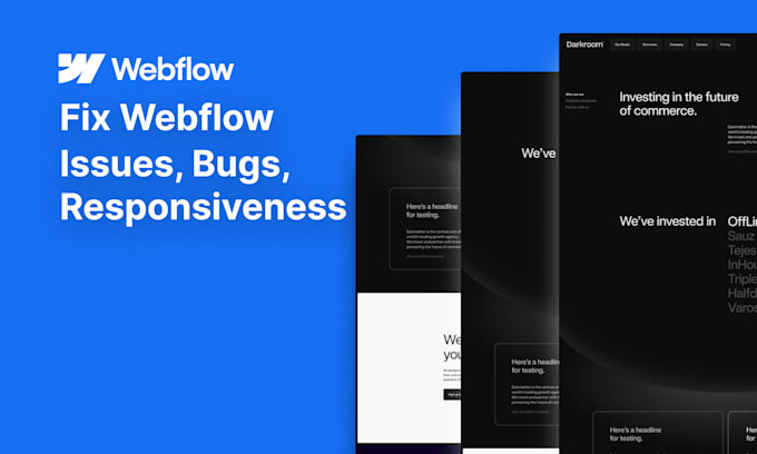 Gig Preview - Fix issues on webflow website