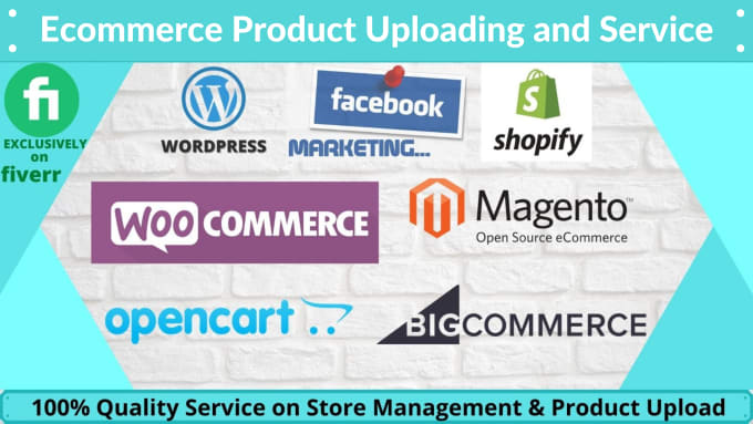 Gig Preview - Do wordpress data entry, product upload any ecommerce store