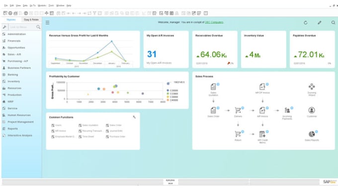 Bestseller - assist you in sap business one implementation and support