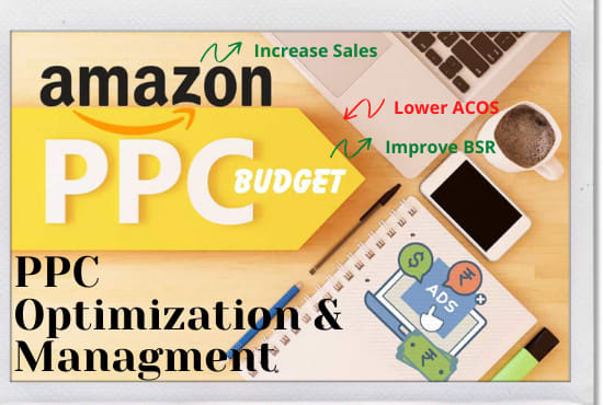 Gig Preview - Manage amazon PPC create and optimize PPC ad campaigns