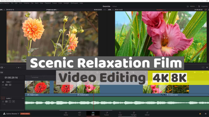 Gig Preview - Make relaxing and meditation nature videos for youtube