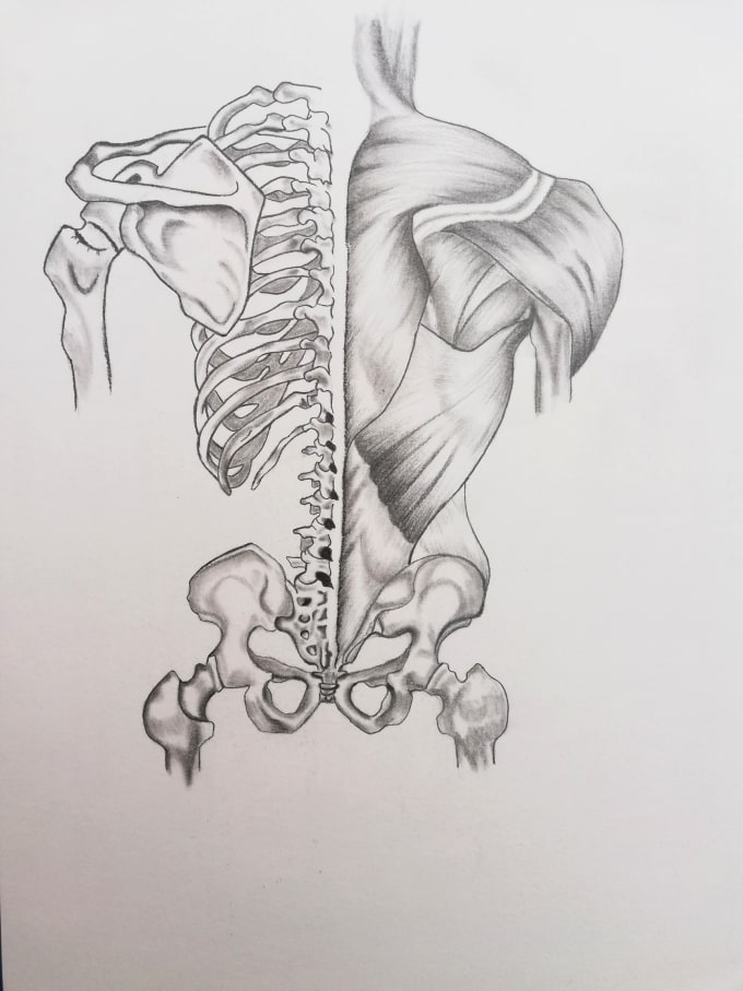 Gig Preview - Draw biological and medical illustrations for you