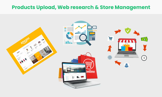 Gig Preview - Research your web site and products upload with manage store