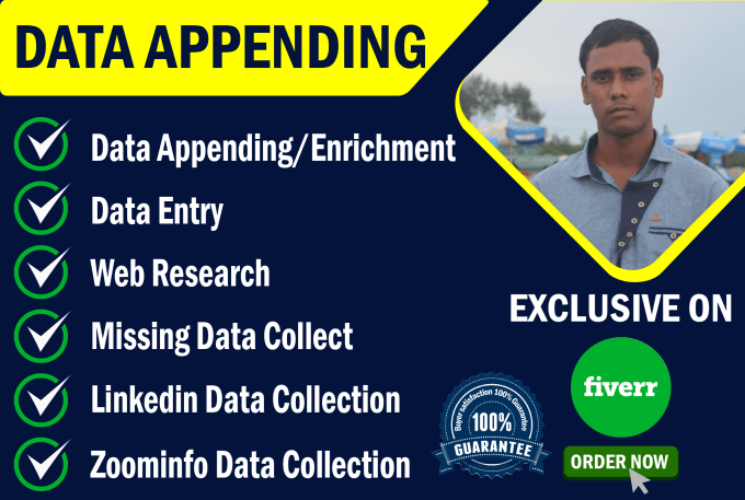 Gig Preview - Do data appending enrichment and data entry