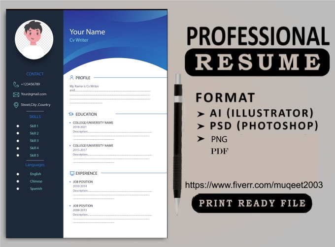 Gig Preview - Professional resume writing, cv writing, edit, rewrite