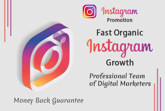 Gig Preview - Grow instagram organically with fast targeted instagram promotion