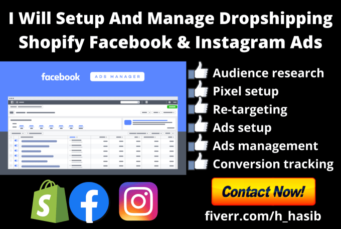 Gig Preview - Setup and manage facebook and instagram ads campaign