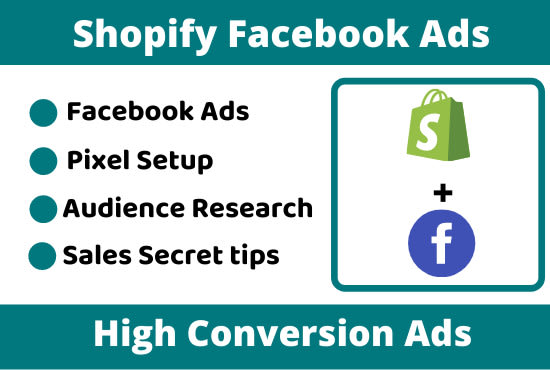 Gig Preview - Setup and manage facebook and instagram ads campaign advertising