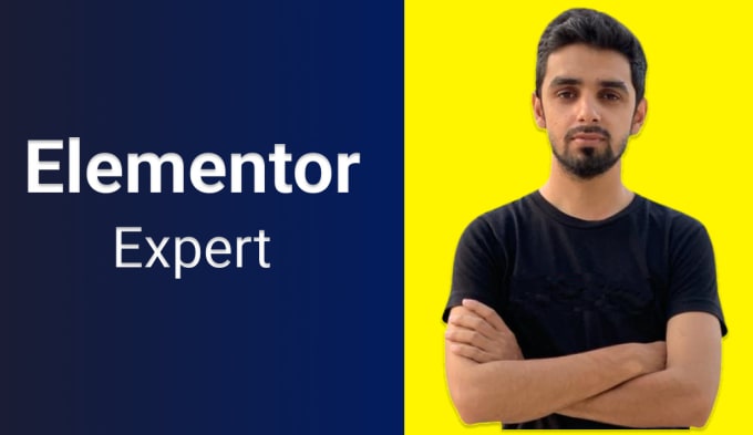 Gig Preview - Be your wordpress developer with elementor expert