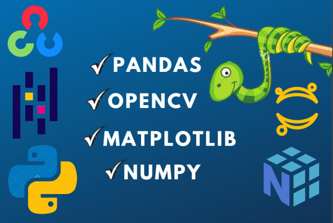 Gig Preview - Assist you in numpy opencv pandas matplotlib in jupter notebook using python