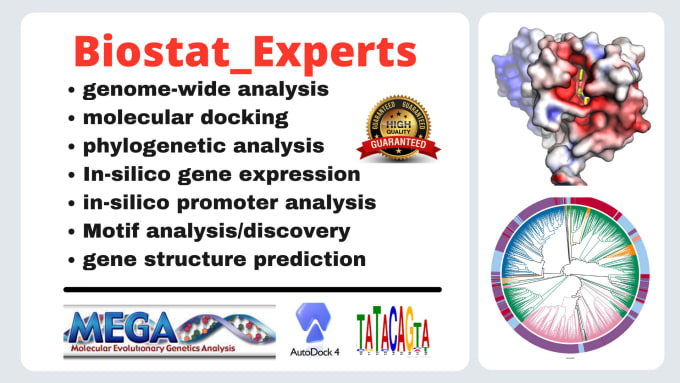 Gig Preview - Do genome wide bioinformatics, phylogeny, molecular docking