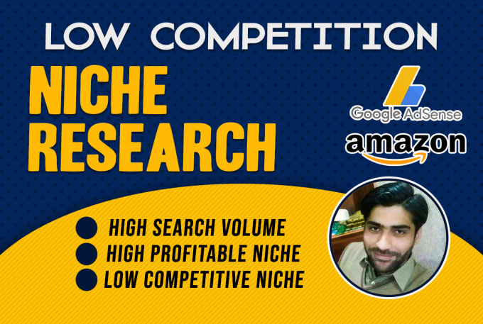 Gig Preview - Do low competition niche research