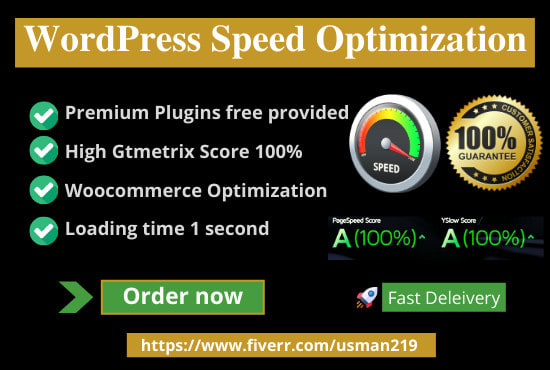 Gig Preview - Do wordpress website page speed optimization for google rank,gtmetrix