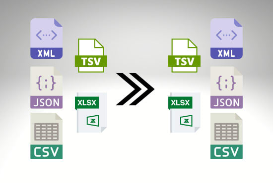 Gig Preview - Convert you excel, csv, xml, json and tsv files