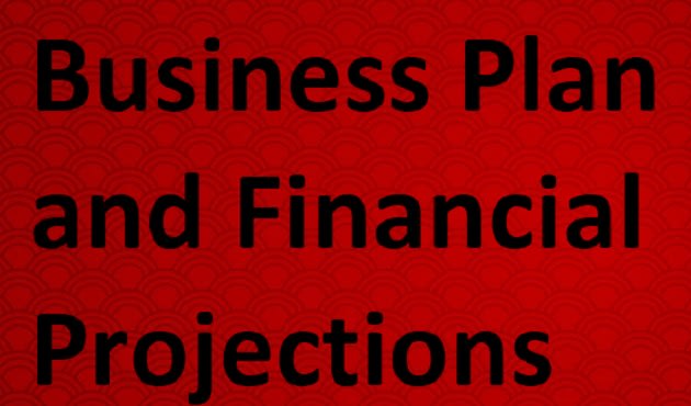 Gig Preview - Prepare business plan financial projections and business market research tasks