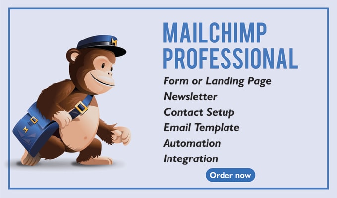 Gig Preview - Create mailchimp landing page and campaign, klaviyo email marketing salesfunnel