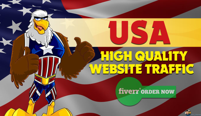 Gig Preview - Drive USA targeted real website visitors