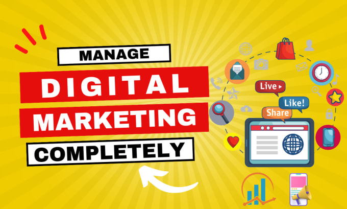 Gig Preview - Manage your digital marketing completely