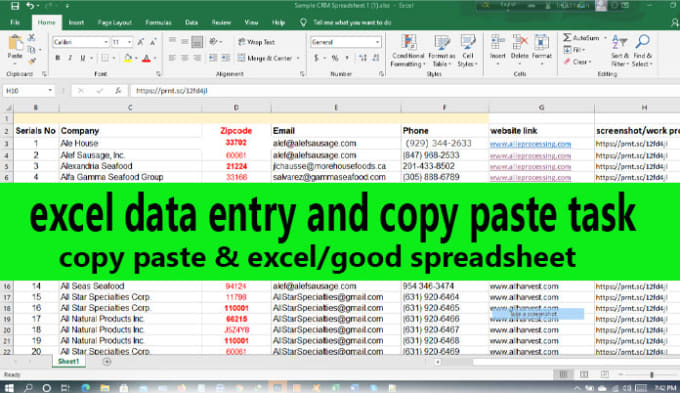 Gig Preview - Do perfect excel data entry and ms office tasks