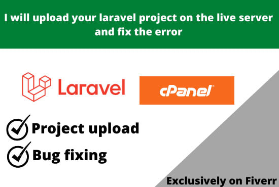 Gig Preview - Upload your laravel project on the live server and fix the error