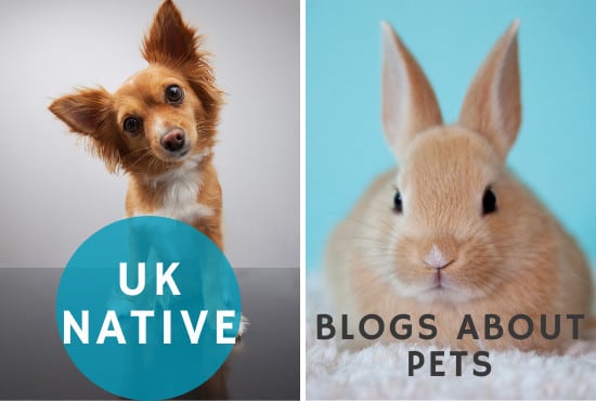 Gig Preview - Write SEO blogs on pets and animal care