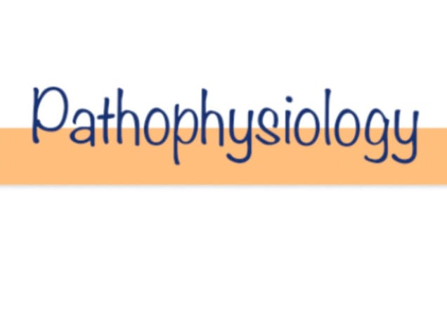 Gig Preview - Assist in pathophysiology tasks